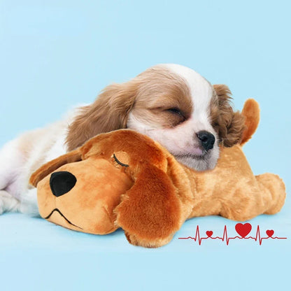 SnuggleBuddy™