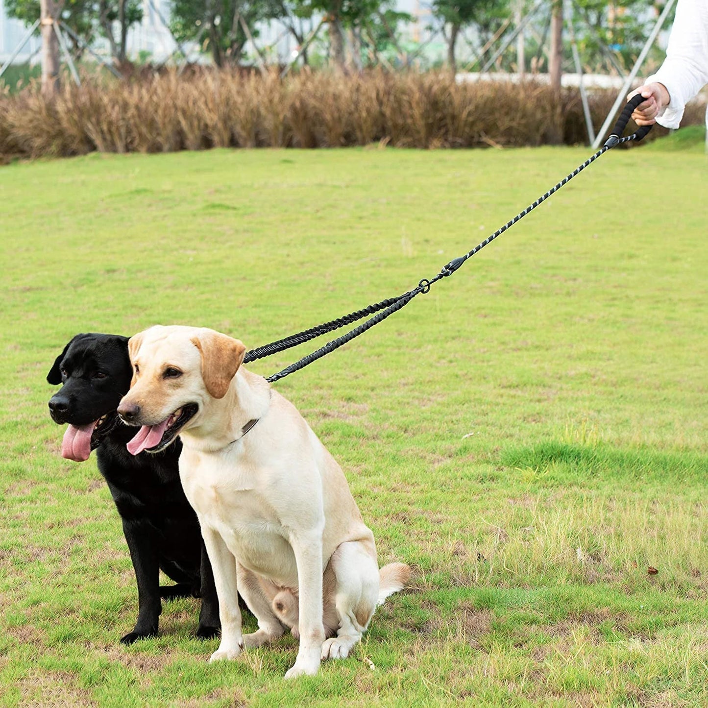 DuoWalker Dog Leash