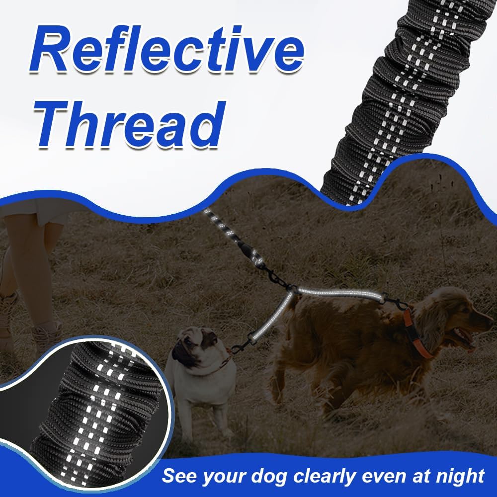 DuoWalker Dog Leash